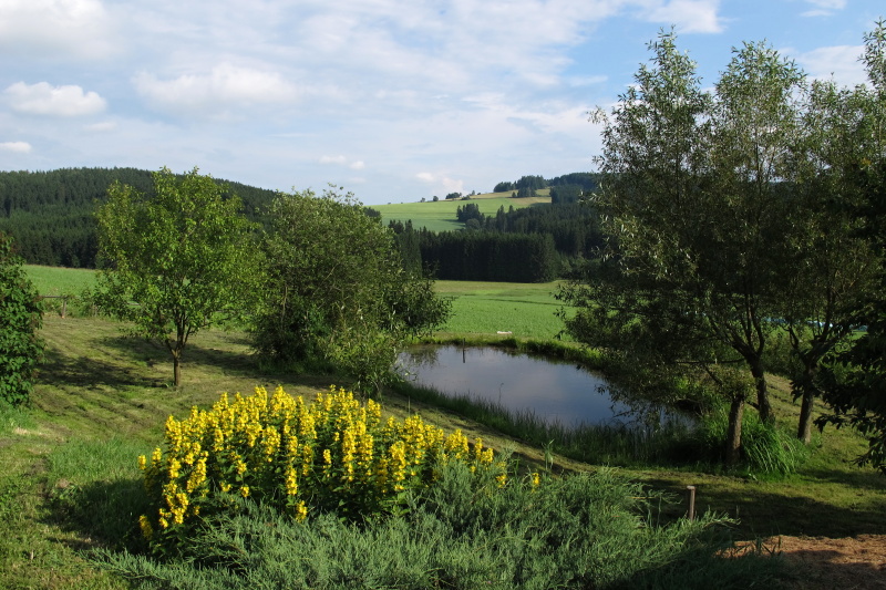 Březiny