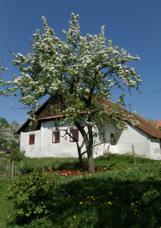 Bystřice nad Pernštejnem