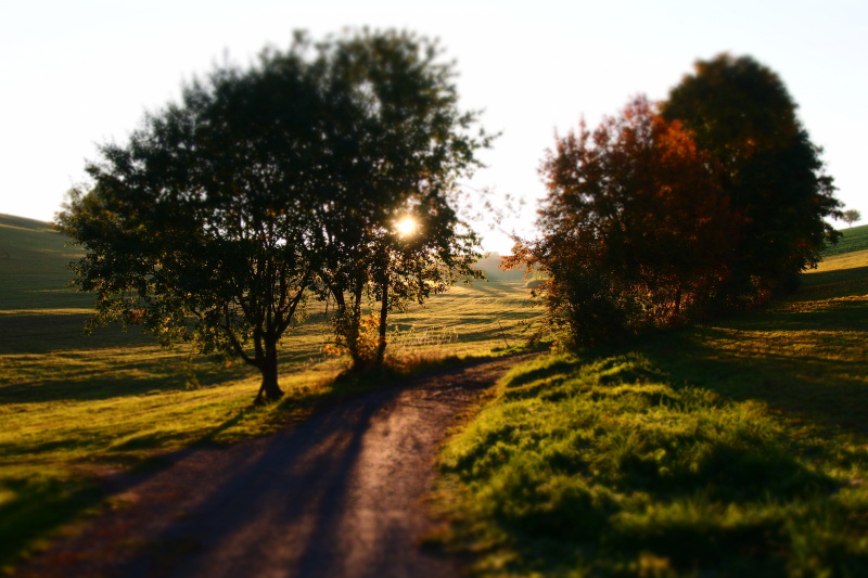 Cestou do Karasína