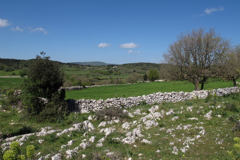 cestou na Monte Sacro