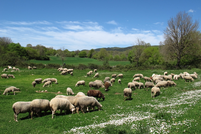 cestou na Monte Sacro