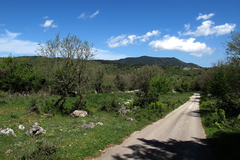 cestou na Monte Sacro