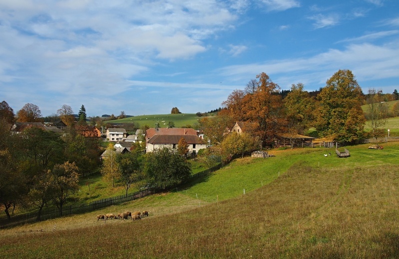 Chlum