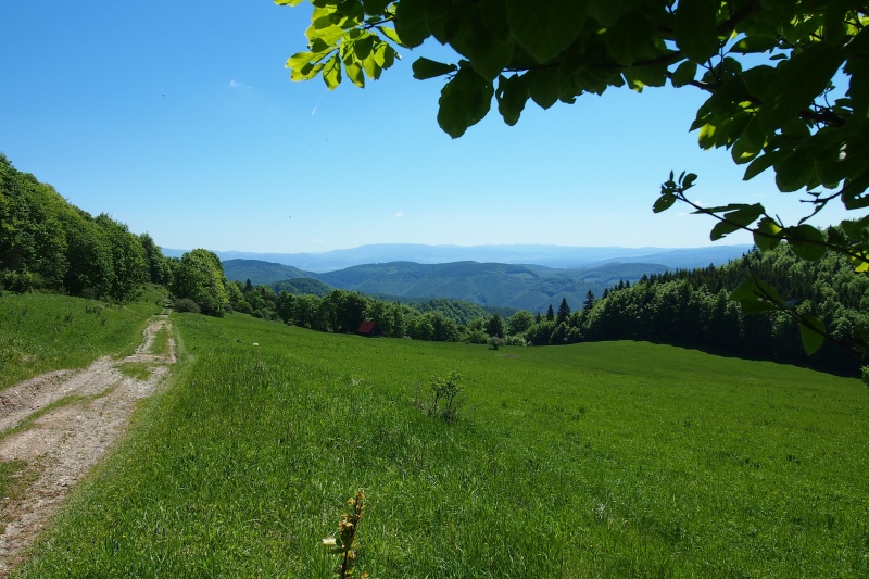 Fačkovské sedlo