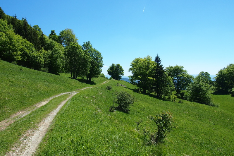 Fačkovské sedlo
