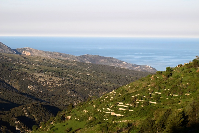 Gargano
