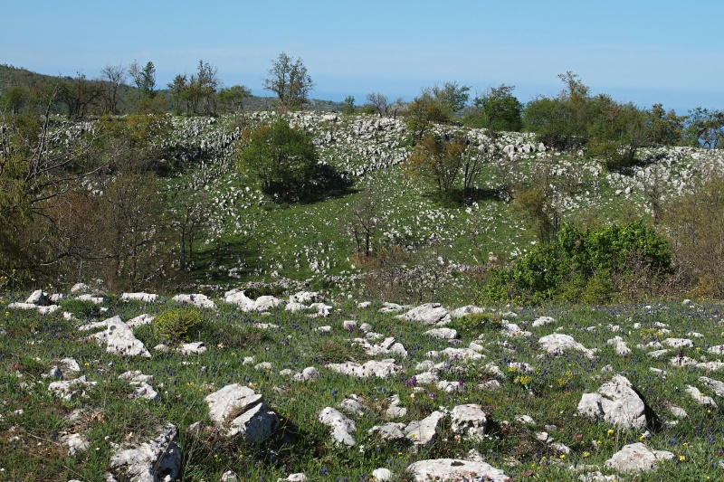 Gargano - vápencové útvary