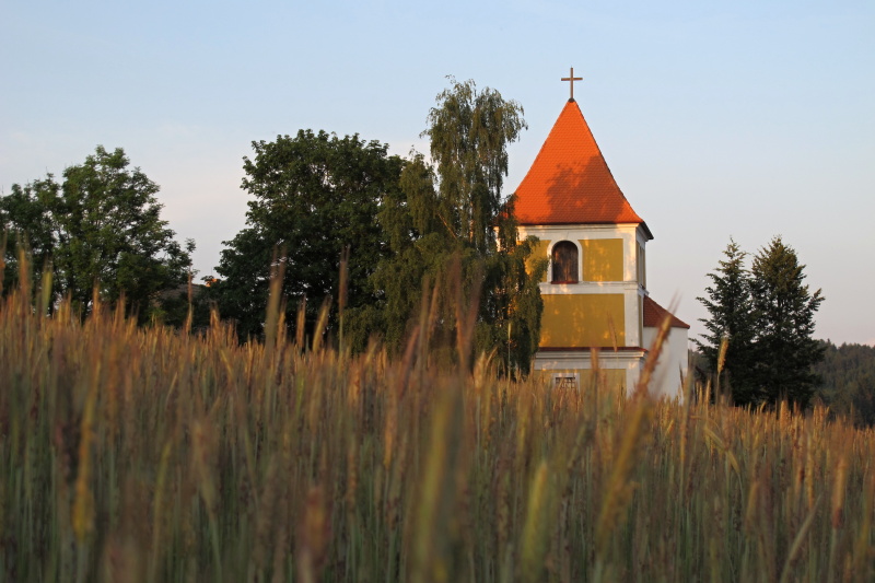 Kostel sv. Havla v Rožné