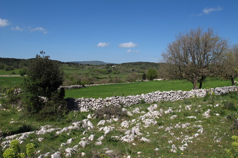 Krajina Gargana