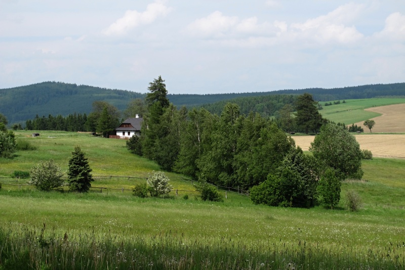 Krátká