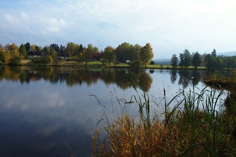 Křižánky - Kyšperský rybník