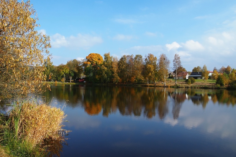 Křižánky - Kyšperský rybník
