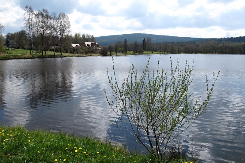 Kyšperský rybník 
