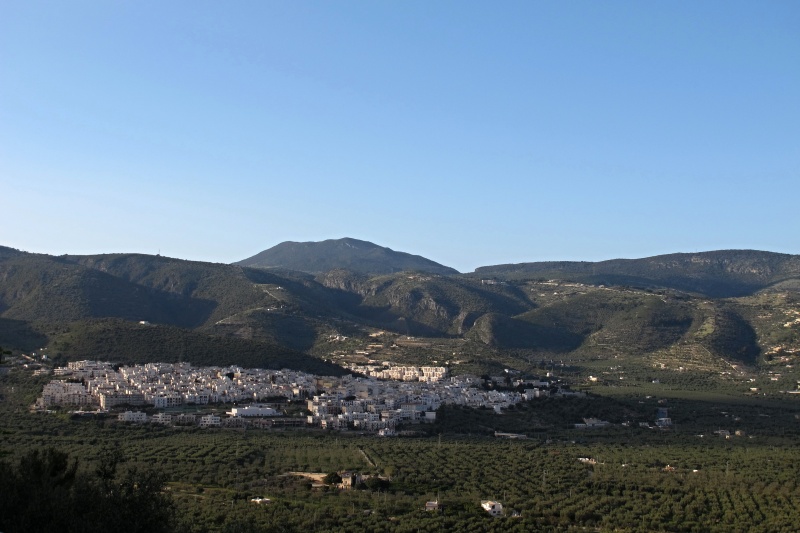 Mattinata