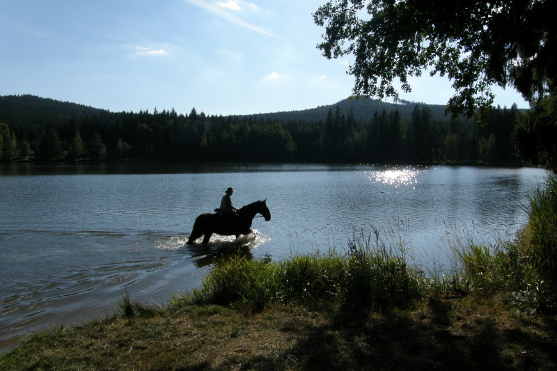 Milovský rybník