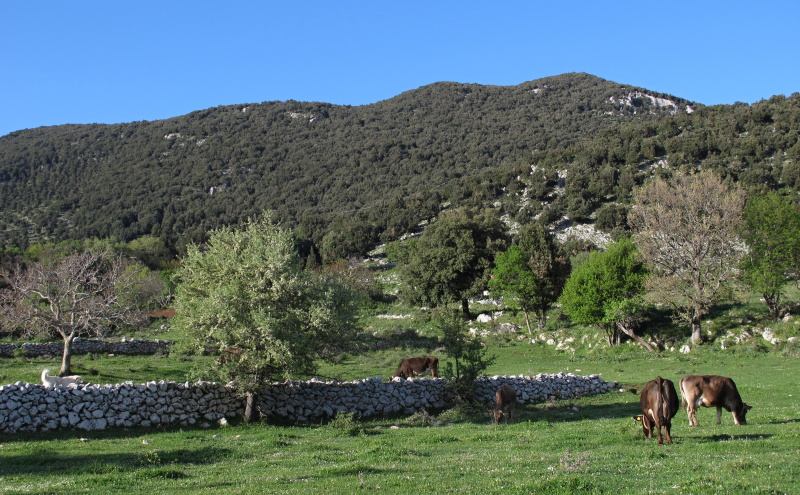 Monte Sacro