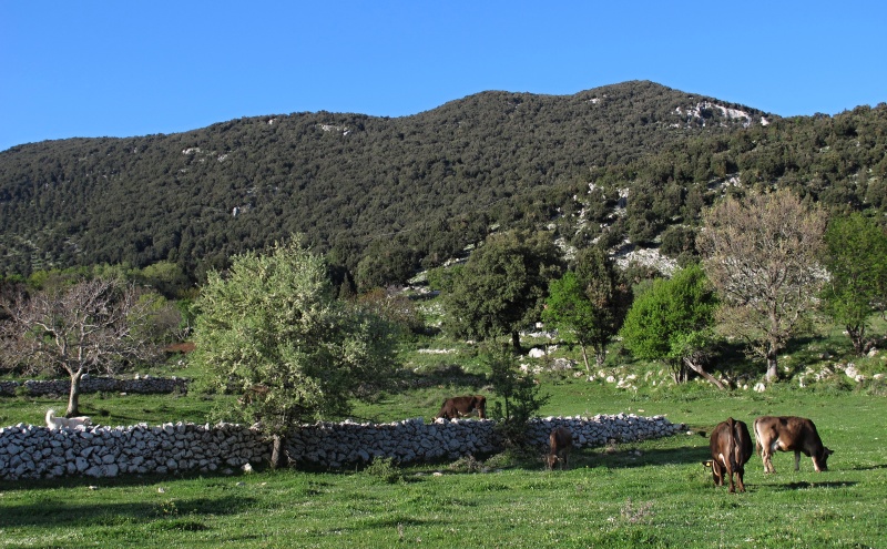 Monte Sacro 872 m.n.m.