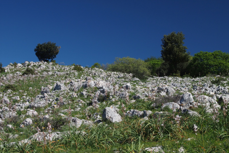 poblíž Monte Sacro