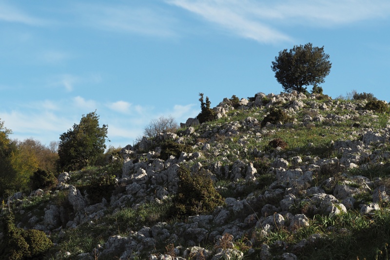 poblíž Monte Sacro