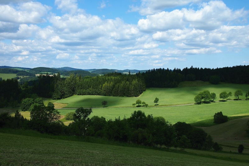 Pohled na Jimramovsko od Veselí