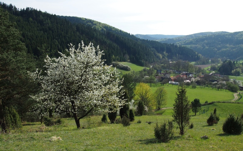 Pohled na vesničku Švařec z lokality