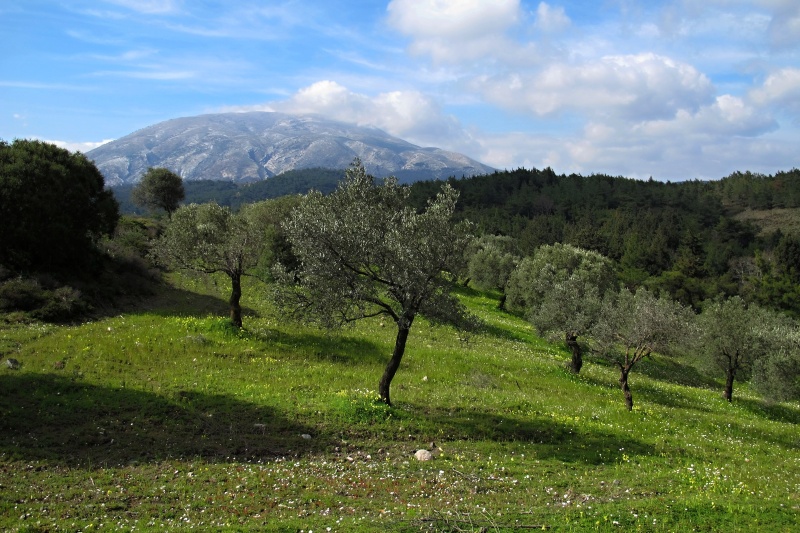 Rhodos