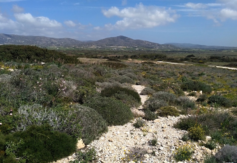 Rhodos