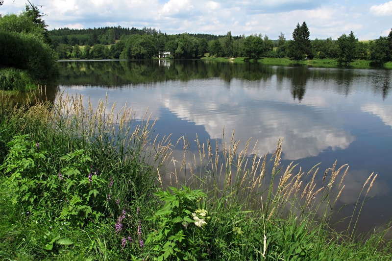 Skalský rybník