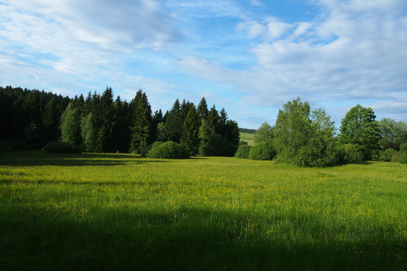 Sklenské louky