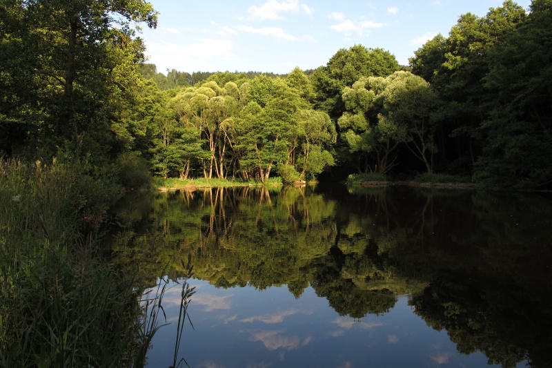 Svratka u Koroužného