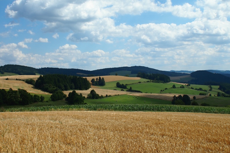 U Daňkovic