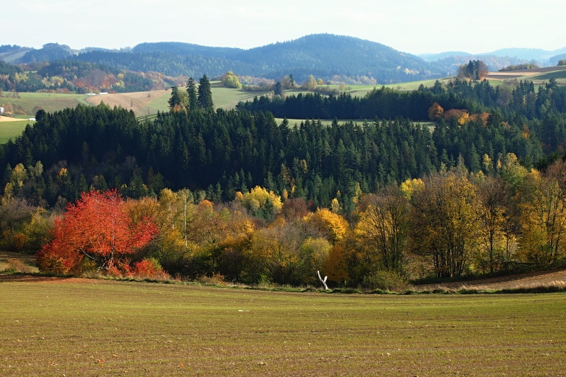 u Korouhvice