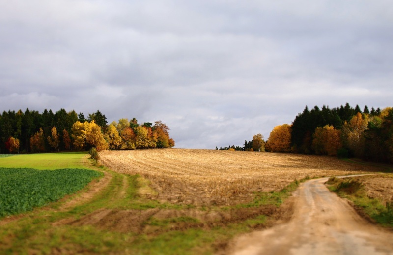 u Věchnova