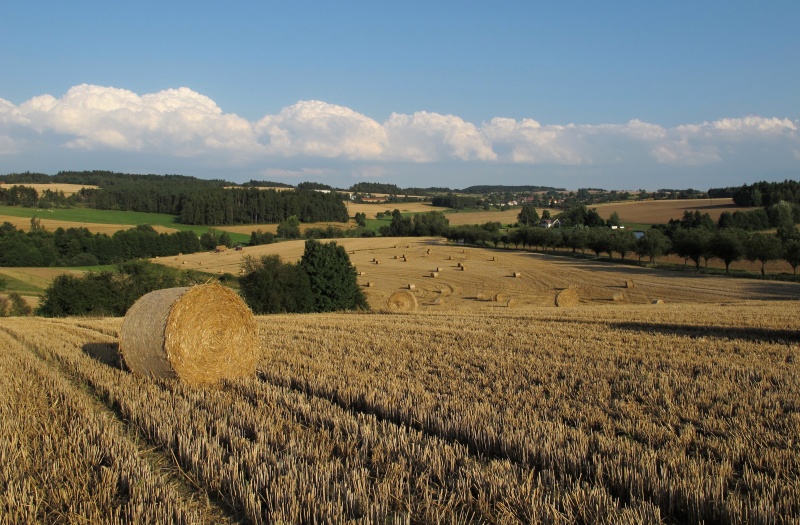 Věchnov od Bystřice nad Pernštejnem