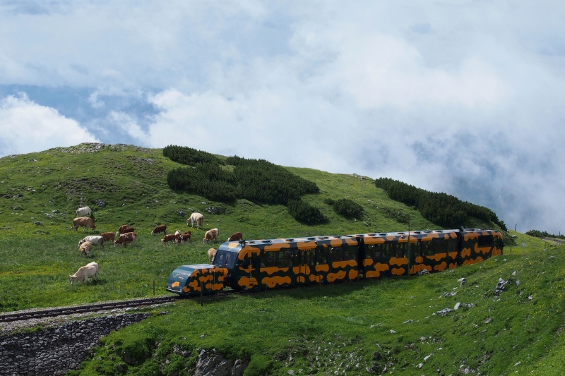 Zubačka na Schneeberg