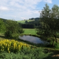 Březiny