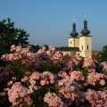 Bystřice
