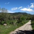 cestou na Monte Sacro