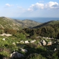 Gargano