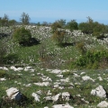 Gargano - vápencové útvary