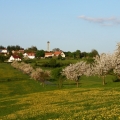 Jaro u Karasína