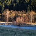 Jimramovský rybník