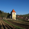 kostel svatého Martina ve Věžné
