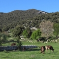 Monte Sacro