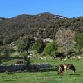 Monte Sacro 872 m.n.m.