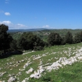 pohled z Monte Sacro