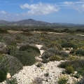 Rhodos