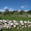 u Monte Sacro