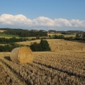 Věchnov od Bystřice nad Pernštejnem